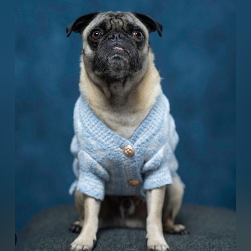 Bloomingdales Aqua light blue plaid gold buttons dog Cardigan sweater xs & s NWT